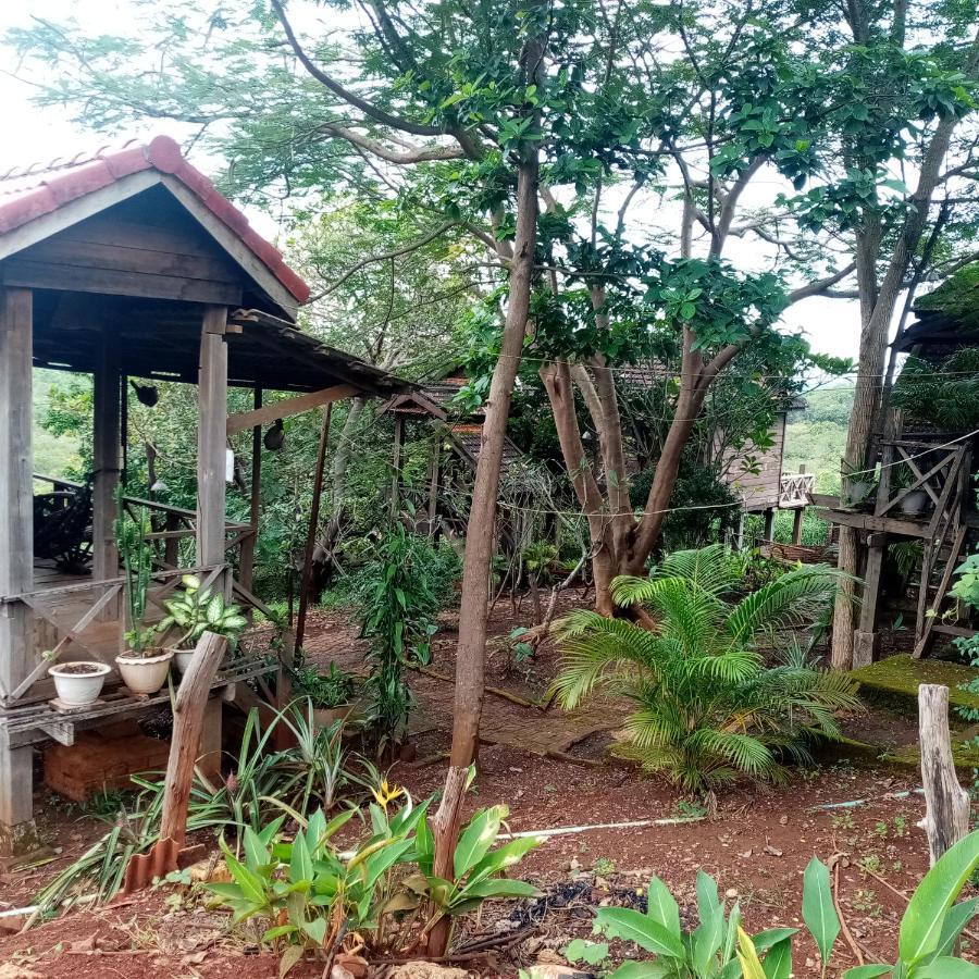 Quiet Garden View Lodge&Trekking Banlung Kültér fotó